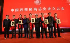 楊文龍董事長當(dāng)選中國藥都樟商總會(huì)會(huì)長